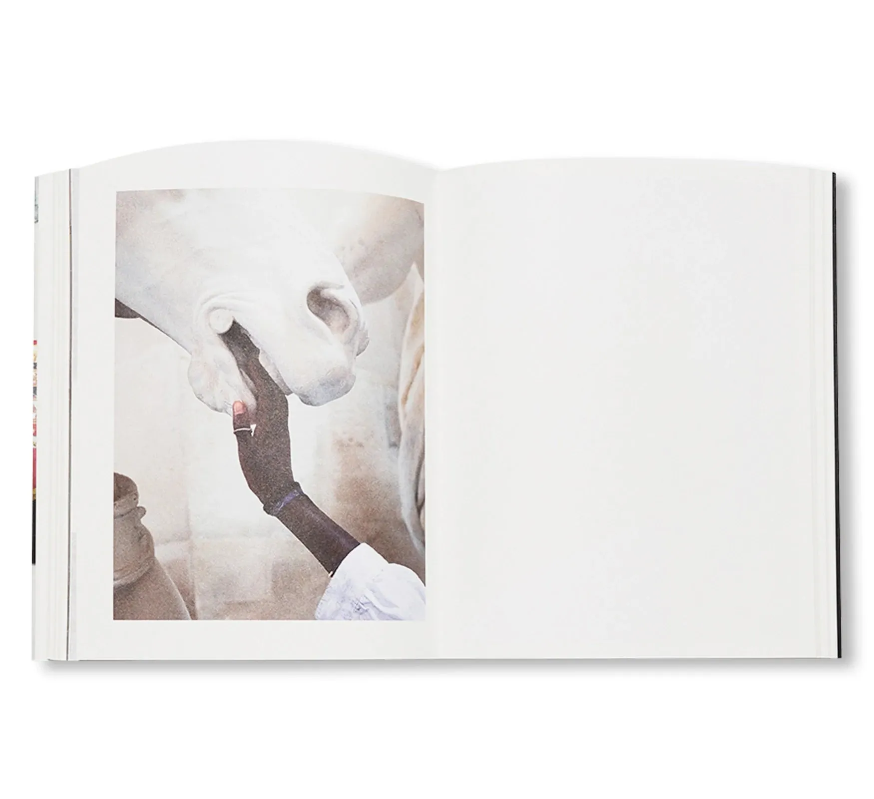 VENUS & MERCURY by Viviane Sassen